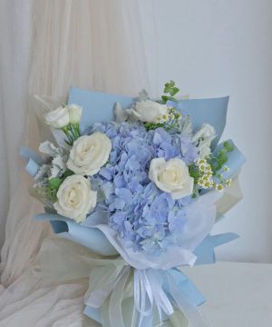Sắc Màu Dịu Êm WIBO016