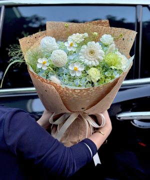 Mây Xanh Dịu Êm