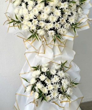 Giấc Mơ Bình Yên