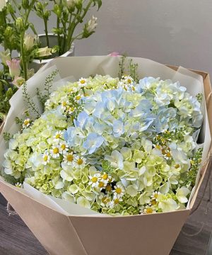 Giấc Mơ Xanh