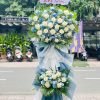 kệ khai truong tone xanh