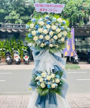kệ khai truong tone xanh