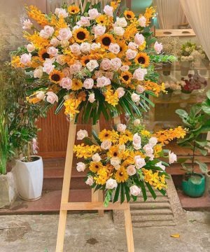 Hướng Dương Phát Lộc