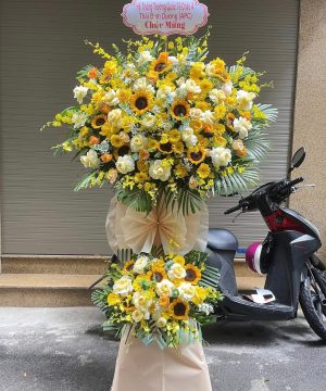 Nắng Vàng Rạng Rỡ