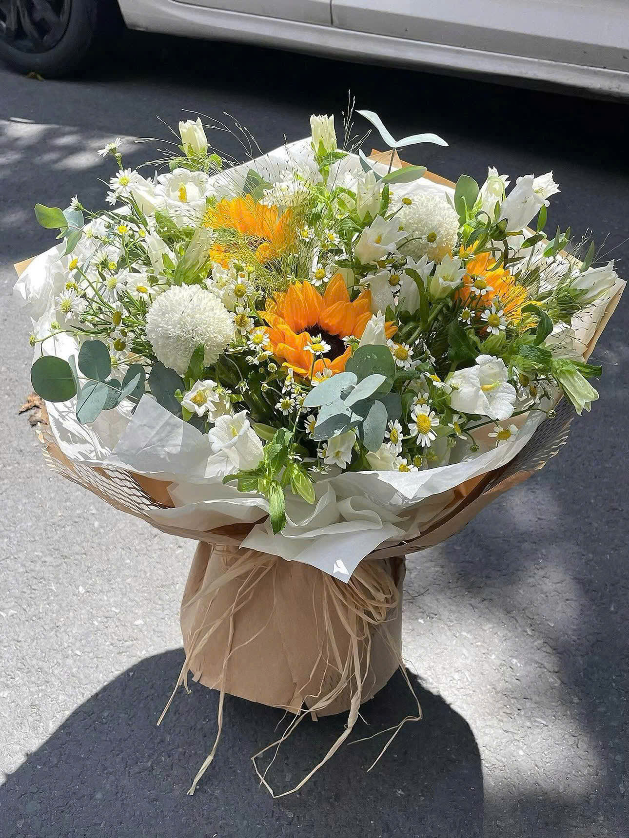 Nắng Dịu Êm