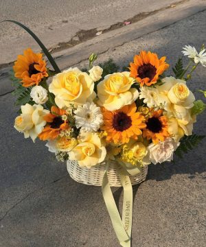 Sắc Vàng Hy Vọng