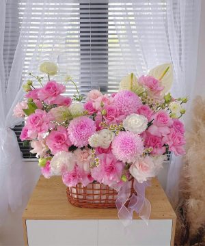 Hồng Phấn Dịu Êm