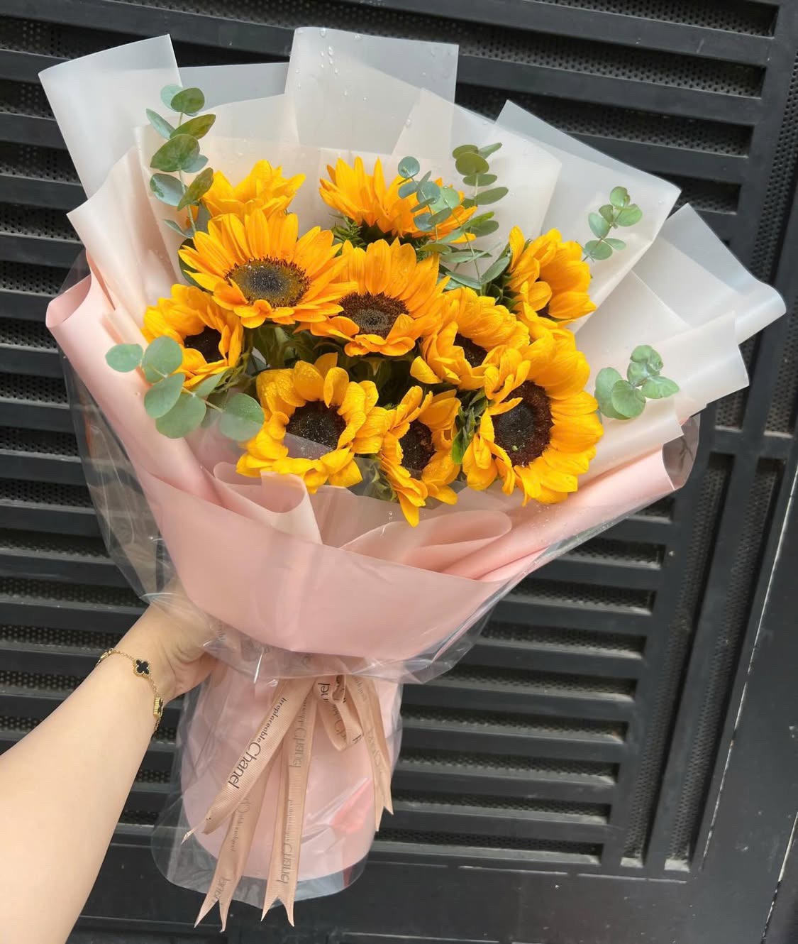 Ngày Mới Rạng Ngời