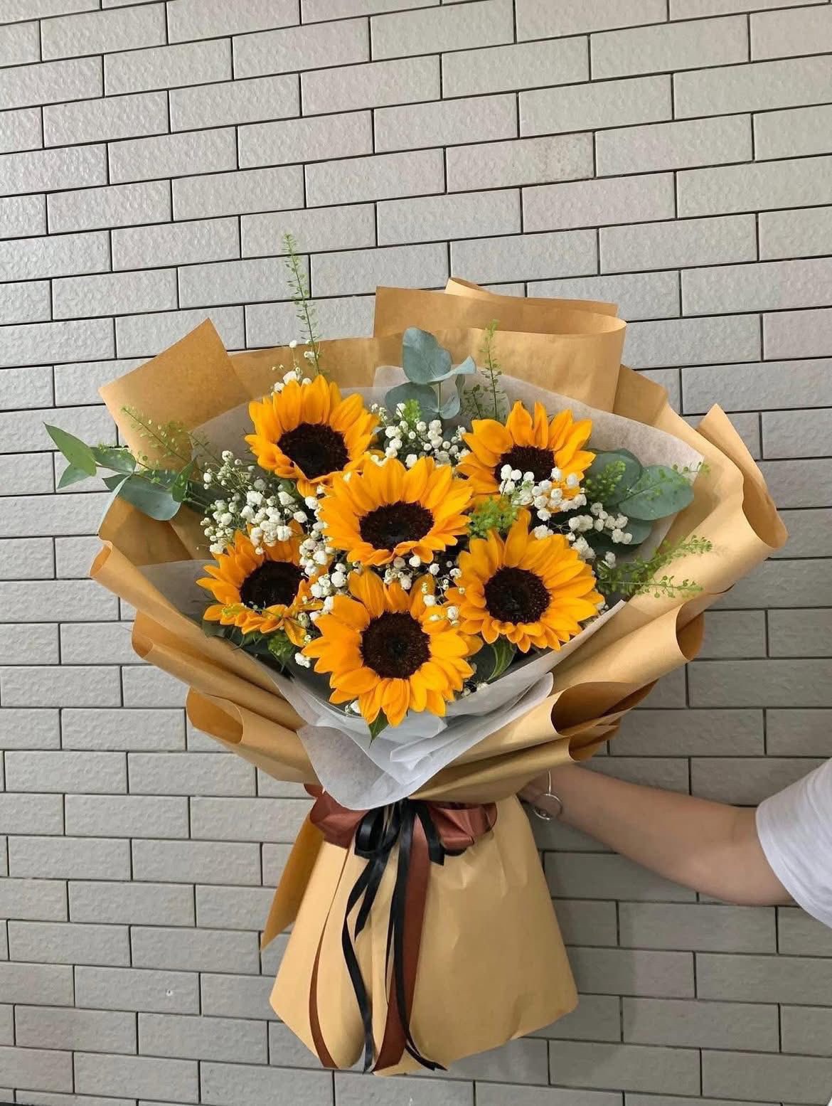 Mặt Trời Rạng Rỡ