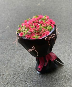 Vũ Khúc Hồng