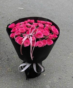 Sắc Hồng Huyền Bí