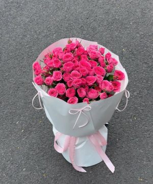Pinky Dream