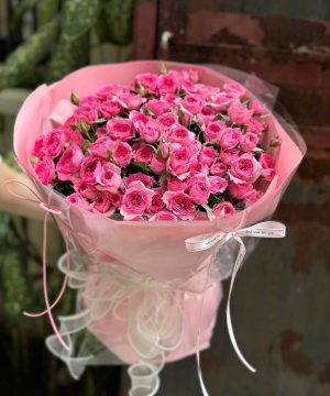 Mây Hồng Dịu Dàng