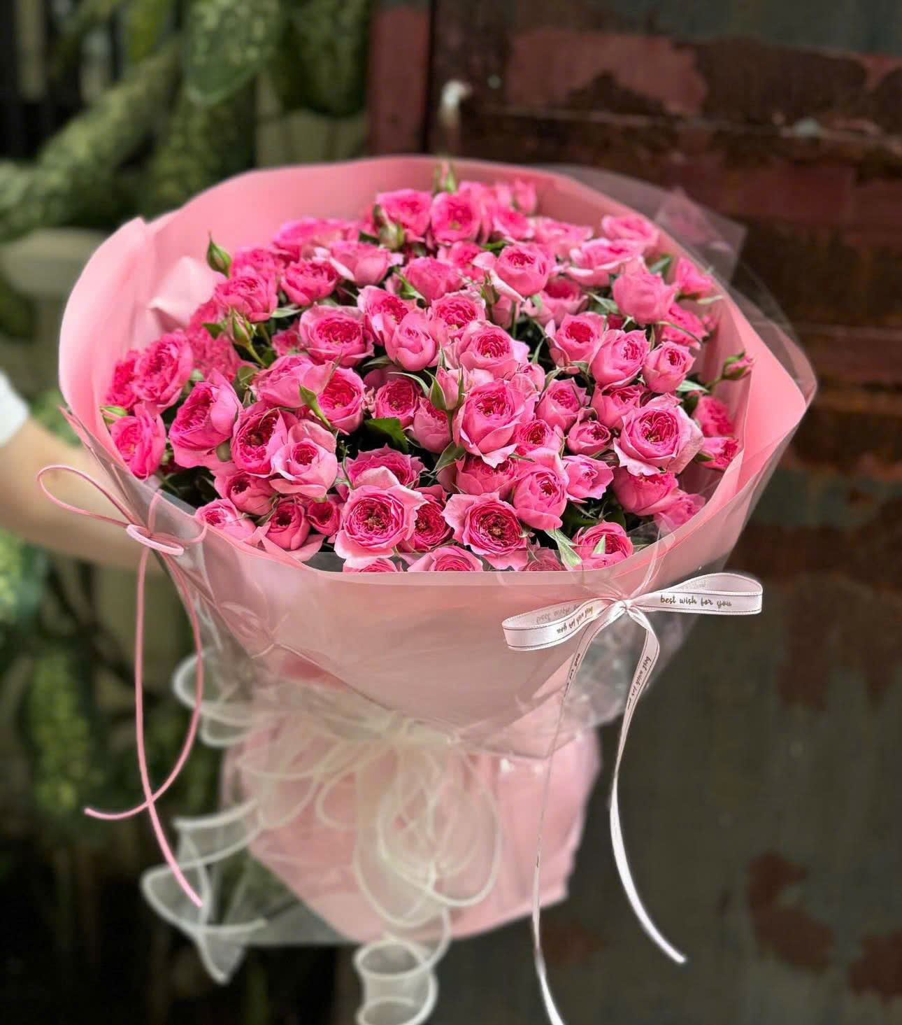 Mây Hồng Dịu Dàng