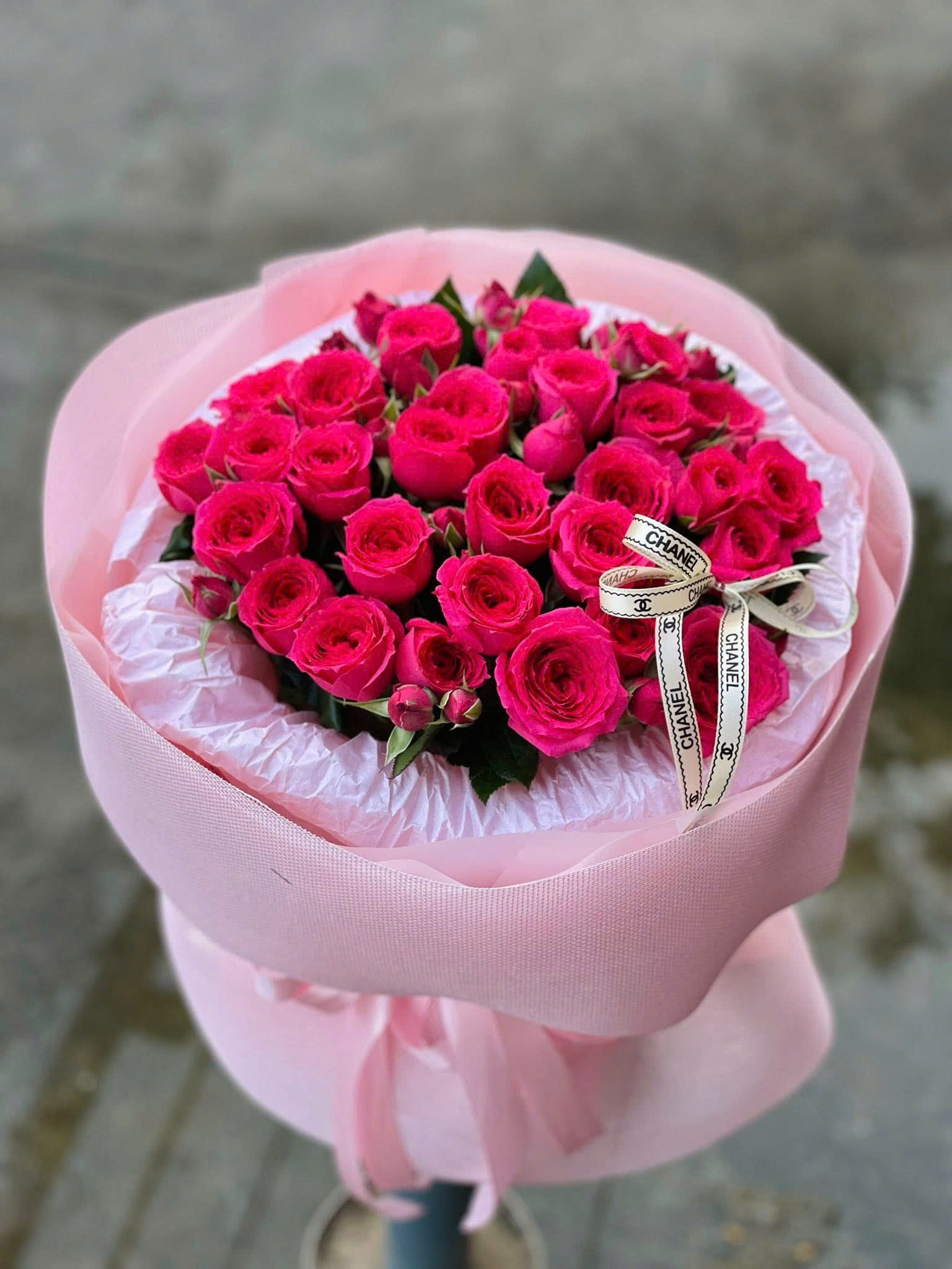 Giai Điệu Hồng