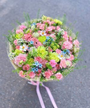 Khúc Ca Đồng Nội