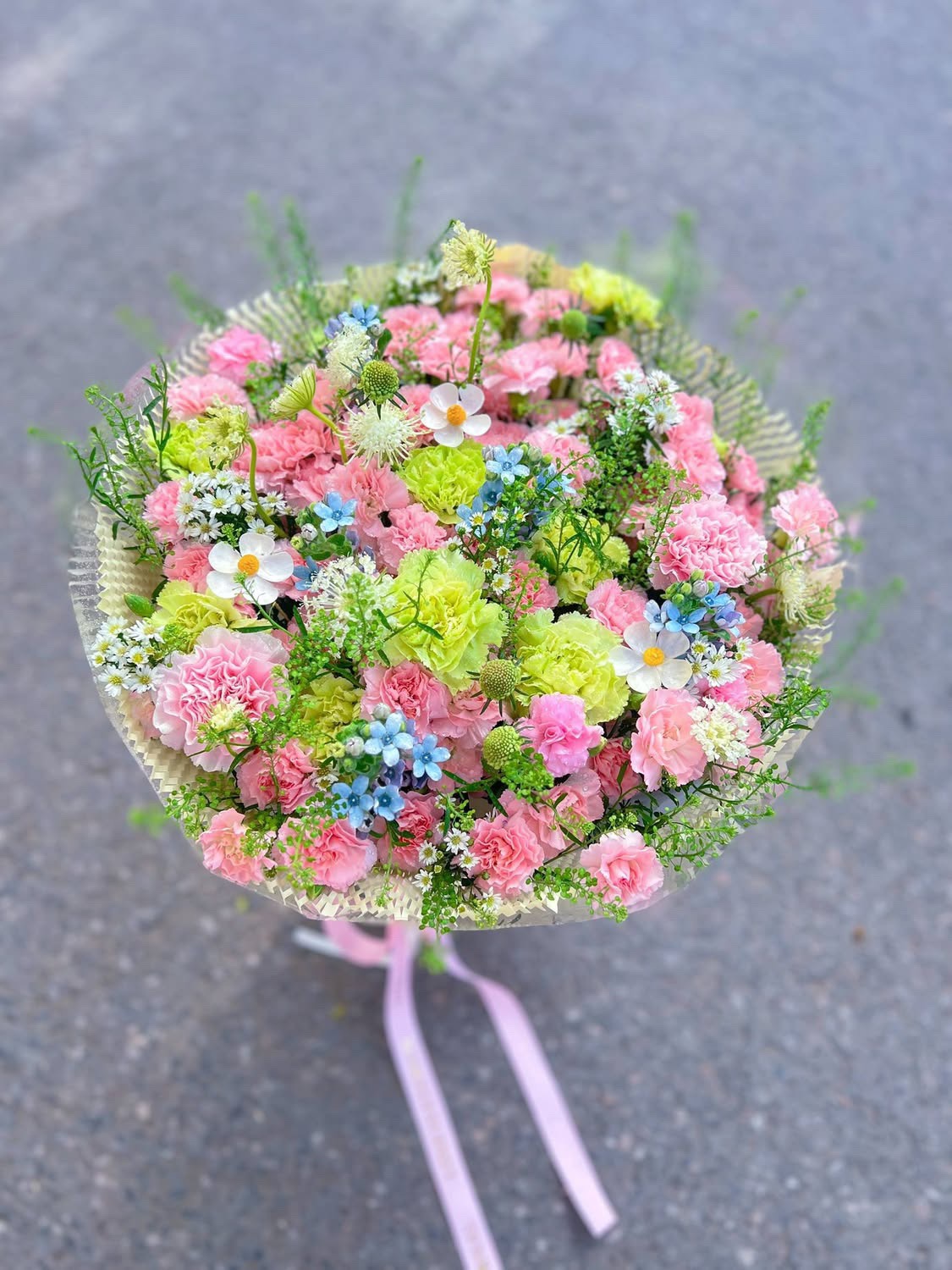 Khúc Ca Đồng Nội