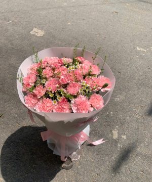 bó hoa cẩm chướng