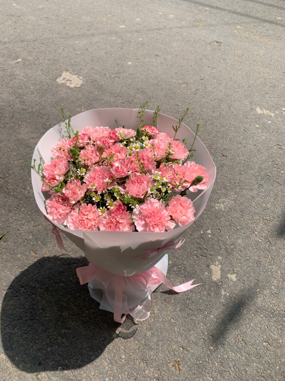 bó hoa cẩm chướng