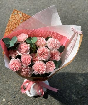 Hoa Cẩm Chướng Hồng
